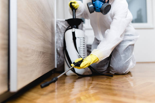 Best Pest Inspection Near Me  in Ambridge, PA
