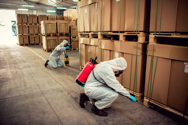 Best Ant Control Services  in Ambridge, PA