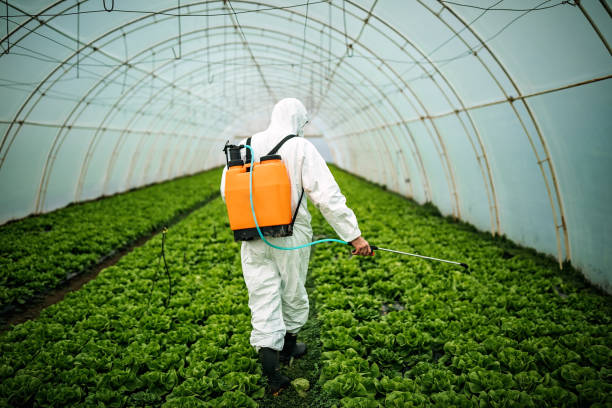 Best Best Pest Control Companies  in Ambridge, PA