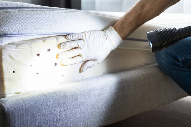 Best Commercial Pest Control Services  in Ambridge, PA