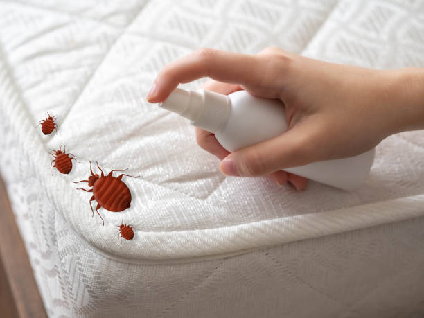 Best Mosquito Control Services  in Ambridge, PA