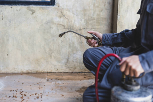 Best Pest Prevention Services  in Ambridge, PA