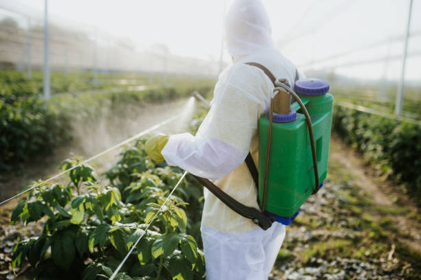  Ambridge, PA Pest Control Pros